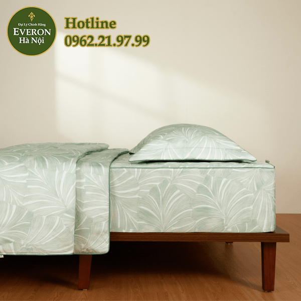 Monstera - EPT26015 - Ảnh 12