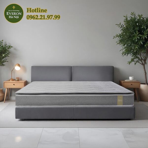 Đệm bông ép TOP PLUS - NEW