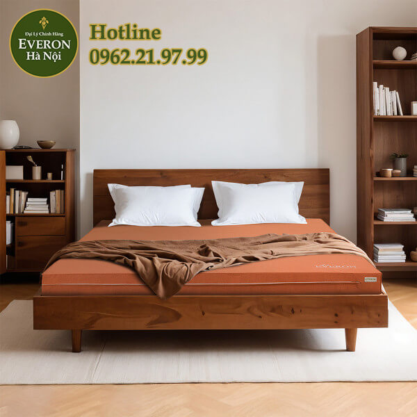 Đệm bông ép Lux Everon